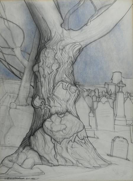 Old Oak Tree (St. Andrews Cathedral Series), 1979, pencil on card