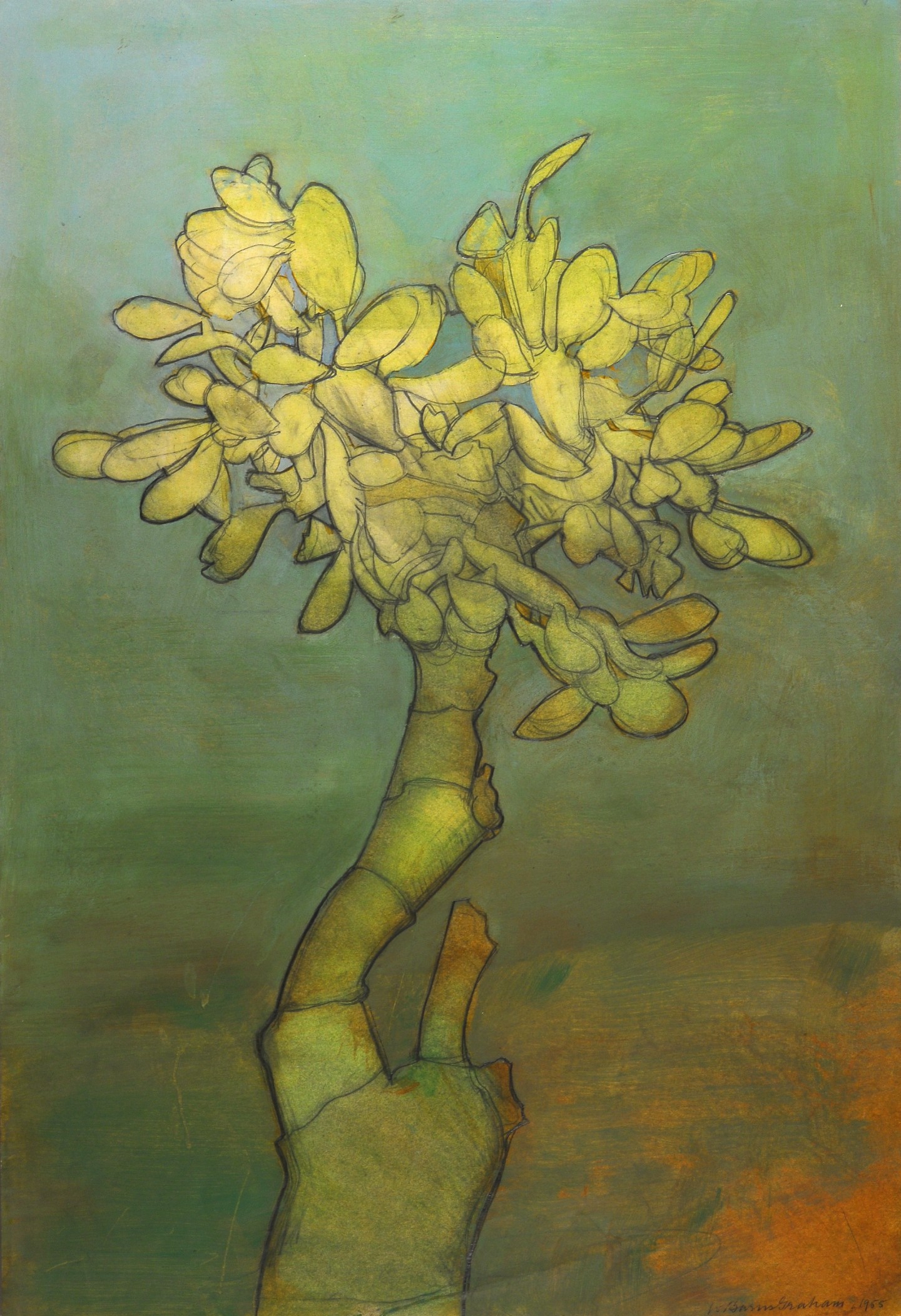 Cactus Tree, 1955, pencil and oil on paper