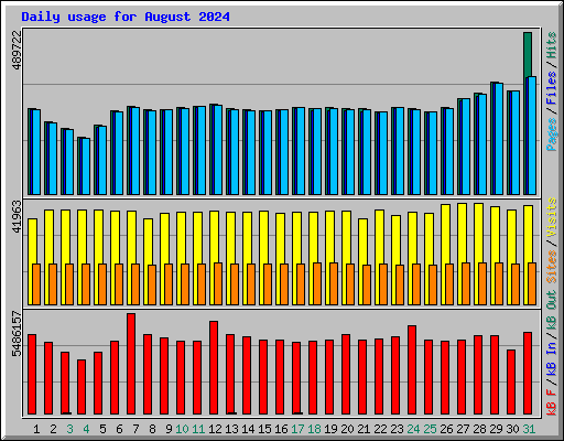 Daily usage for August 2024