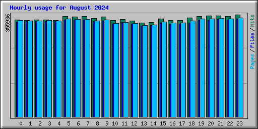 Hourly usage for August 2024