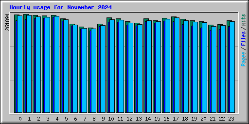 Hourly usage for November 2024