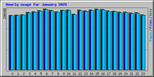 Hourly usage for January 2025