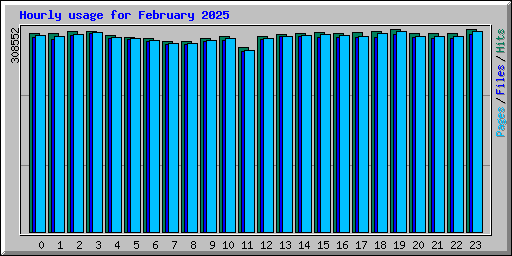 Hourly usage for February 2025