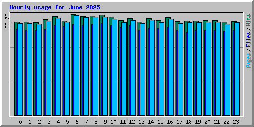 Hourly usage for June 2025