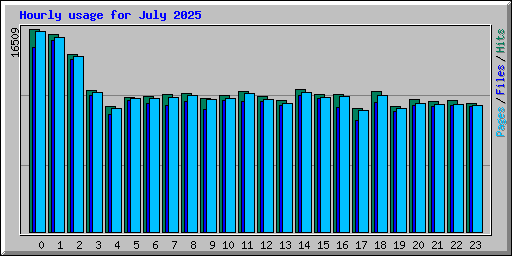 Hourly usage for July 2025