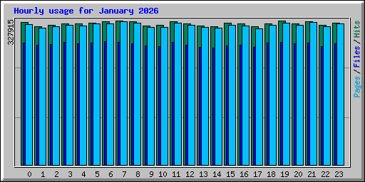 Hourly usage for January 2026